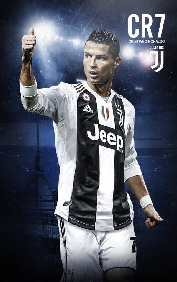 合理嵌入数 合理嵌入数